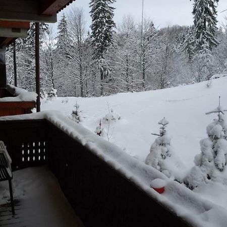 Fairytale Apartment Close To Bradu Ski Slope ポイアナ・ブラショフ エクステリア 写真