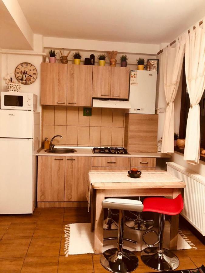Fairytale Apartment Close To Bradu Ski Slope ポイアナ・ブラショフ エクステリア 写真