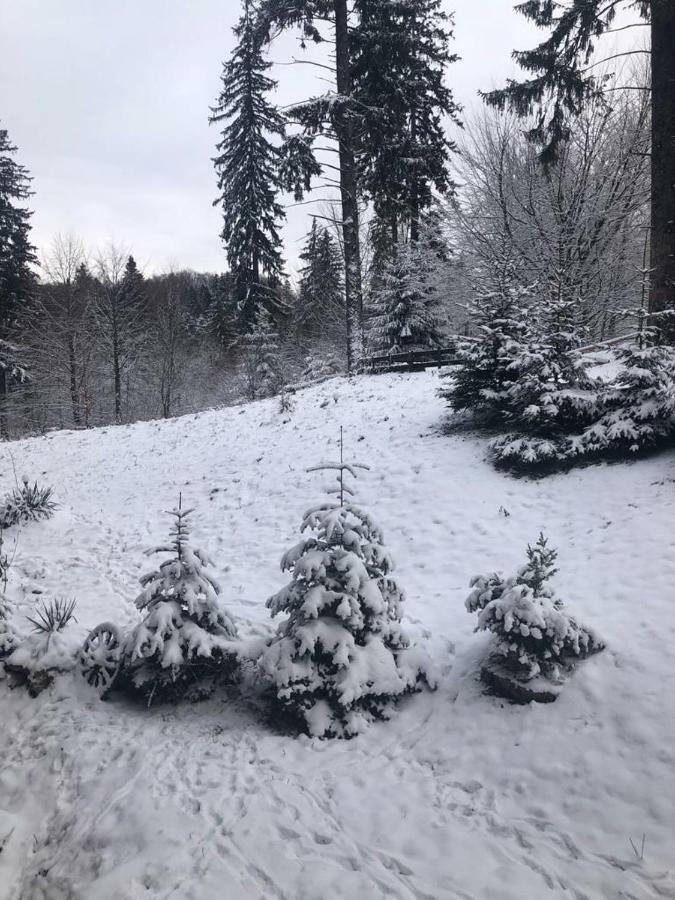 Fairytale Apartment Close To Bradu Ski Slope ポイアナ・ブラショフ エクステリア 写真
