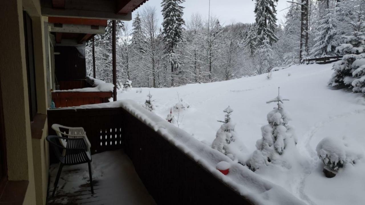 Fairytale Apartment Close To Bradu Ski Slope ポイアナ・ブラショフ エクステリア 写真