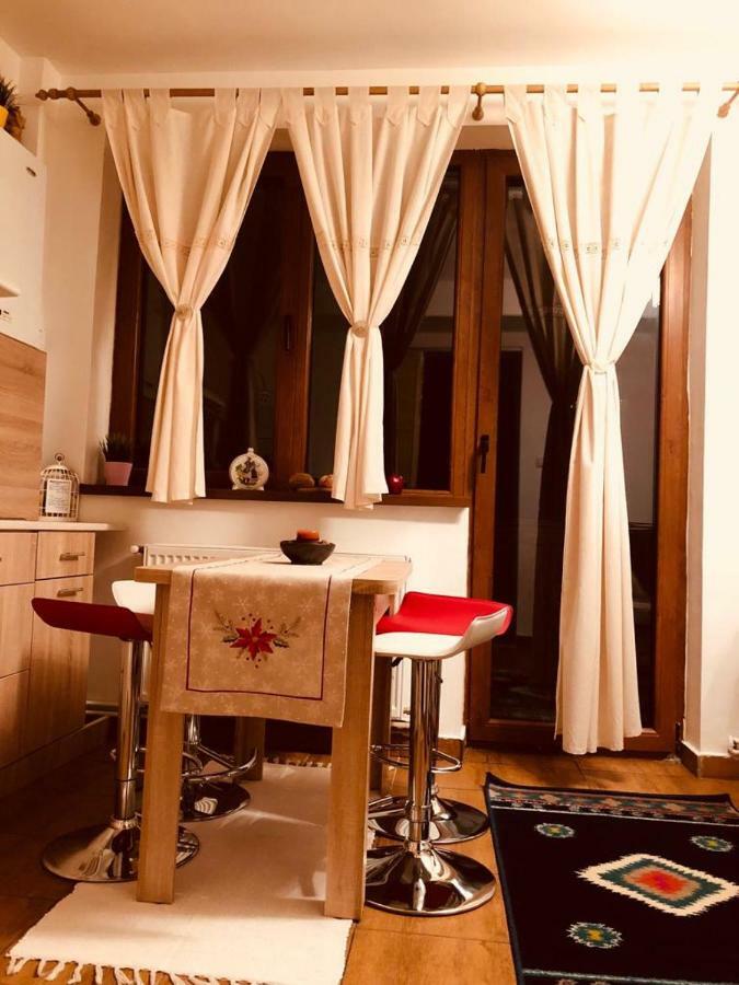 Fairytale Apartment Close To Bradu Ski Slope ポイアナ・ブラショフ エクステリア 写真
