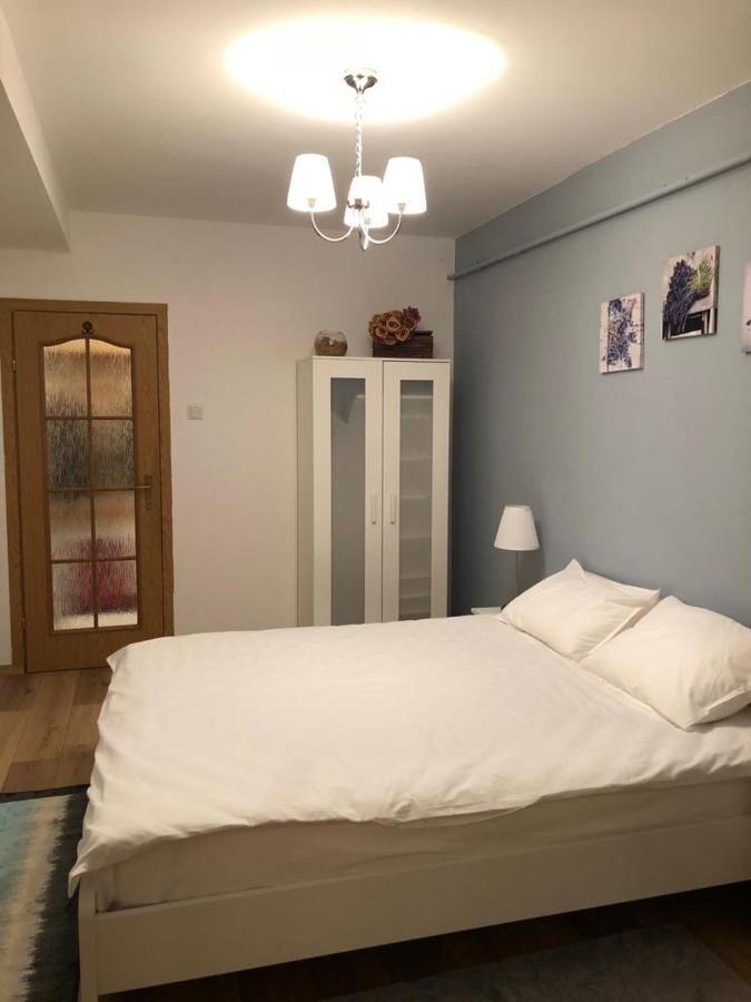 Fairytale Apartment Close To Bradu Ski Slope ポイアナ・ブラショフ エクステリア 写真