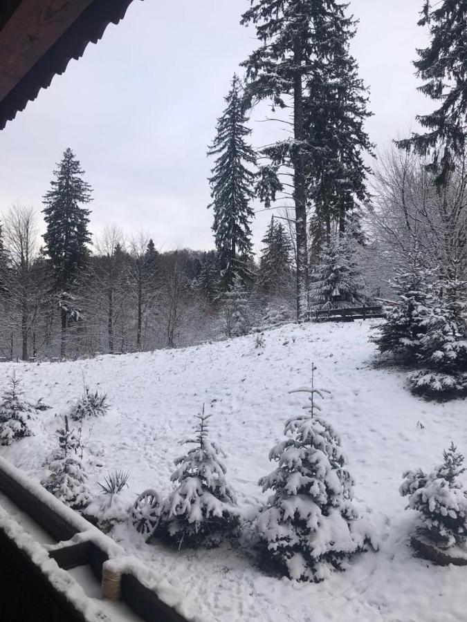 Fairytale Apartment Close To Bradu Ski Slope ポイアナ・ブラショフ エクステリア 写真